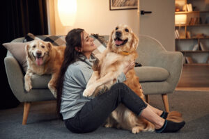 Dogs with woman on sofa