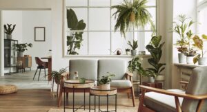 Bright, plant-filled living room with natural light and minimalist furniture, reflecting Hunters’ Autumn 2025 housing market report on sustainable, desirable homes.