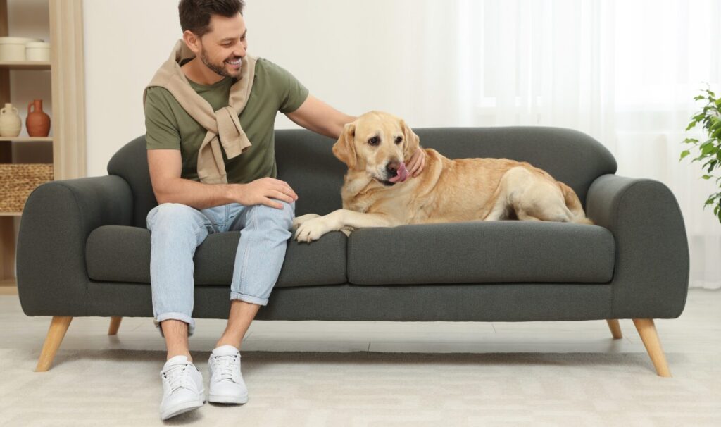 Tenant sitting on a sofa with a Labrador in a rented home, reflecting new pet request rights under the Renters’ Rights Act 2025