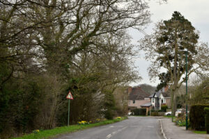 quiet residential street in Dickens Heath with modern homes and greenery in Solihull