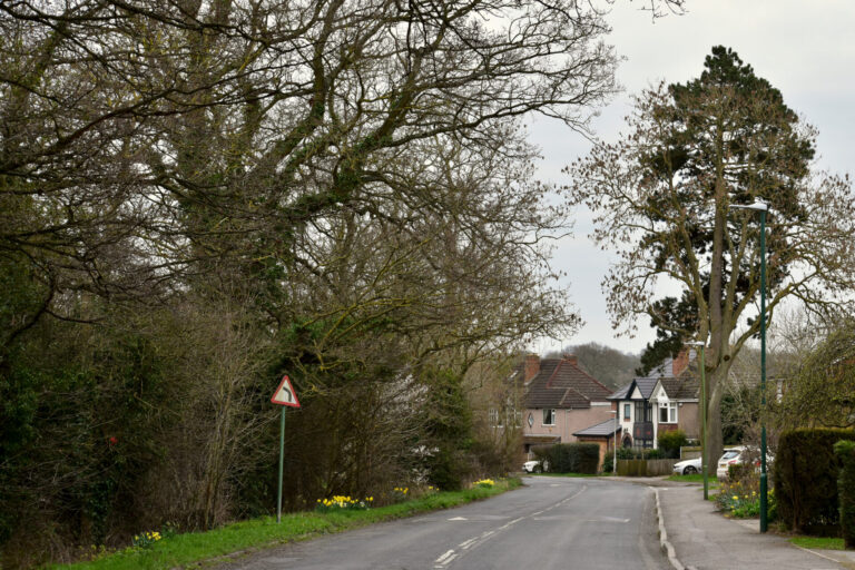quiet residential street in Dickens Heath with modern homes and greenery in Solihull